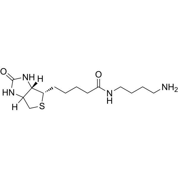 Biotin-C4-amide-C5-NH2 151294-96-1